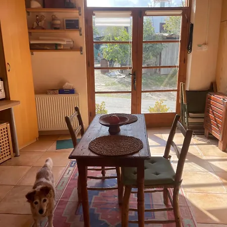 Avli-the Courtyard 4* Nicosia