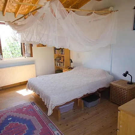 Avli-the Courtyard 4*